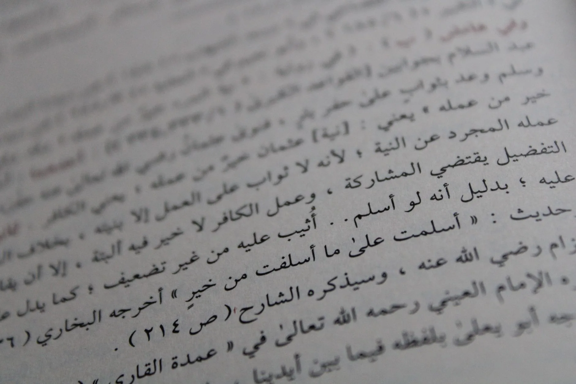 Pagina di un testo in lingua araba con caratteri di stampa nitidi, raffigurante testo religioso e didattico.