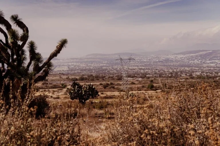 Paesaggio arido con cactus in primo piano, campi sterili e tralicci elettrici verso una valle popolata.