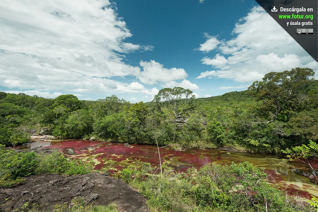 Fiume dalle acque rosse scorre attraverso foresta tropicale rigogliosa con cielo nuvolato.