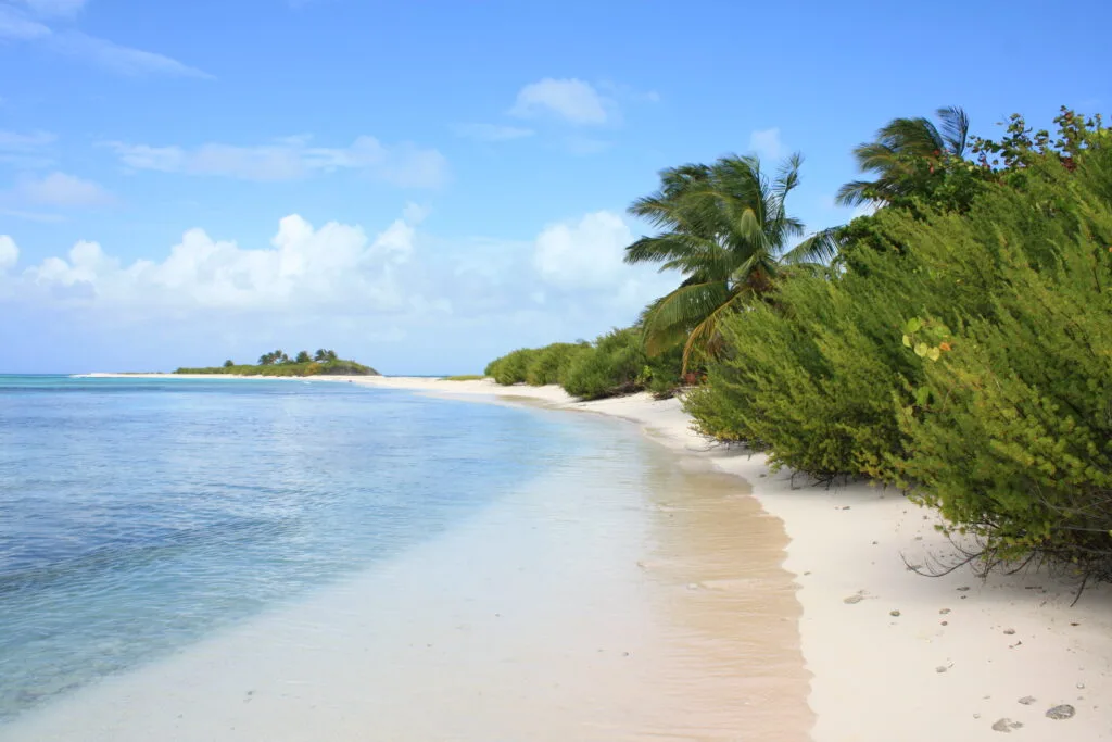 Spiaggia tropicale con sabbia bianca, acque turchesi e vegetazione fitta che ondeggiano al vento su un'isola disabitata.